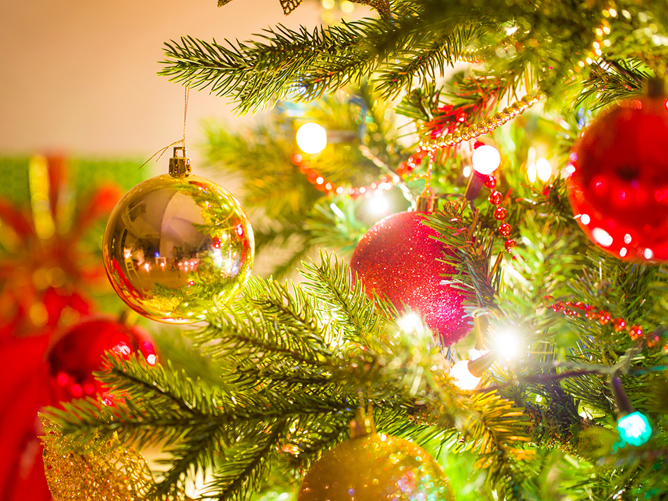 Фото: istockphoto.com/YanLev