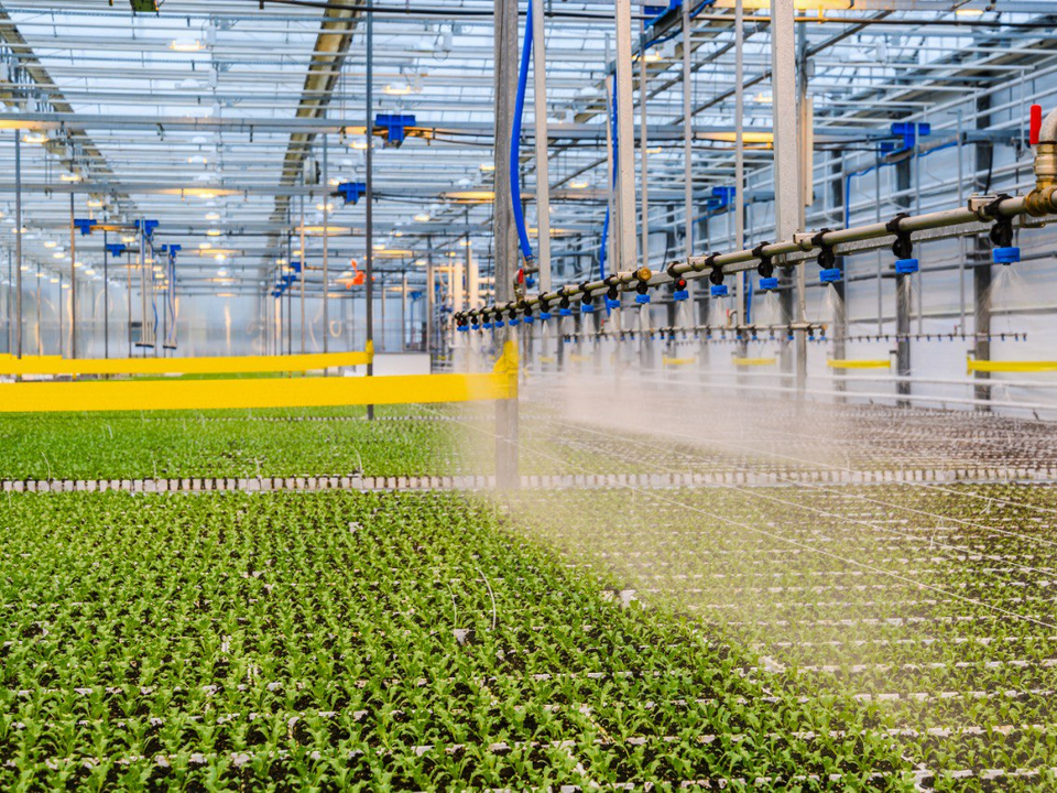 Фото: Министерство сельского хозяйства и продовольствия Московской области