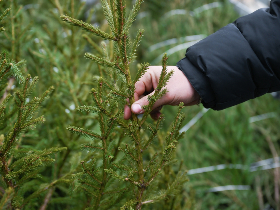 Фото: РИА Новости/Григорий Сысоев