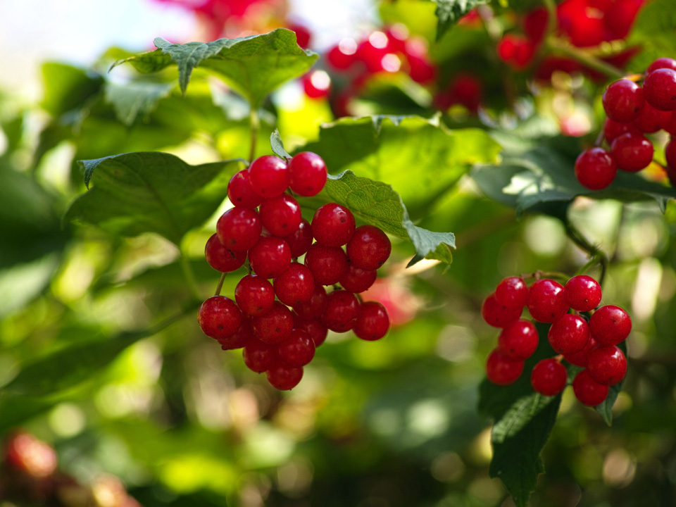 Фото: istockphoto.com/Kayco 