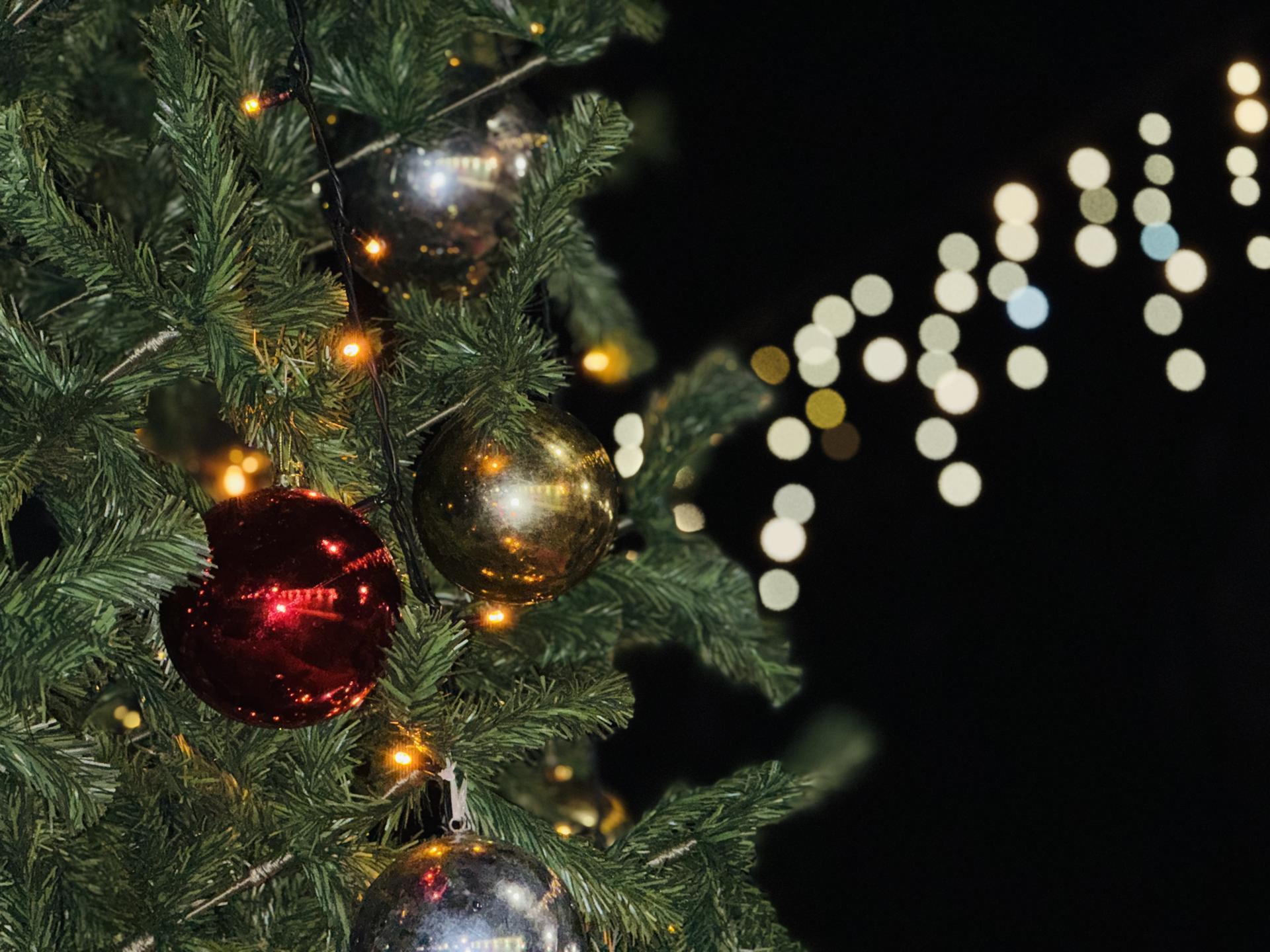 Фото: МедиаБанк Подмосковья/Ольга Стаферова