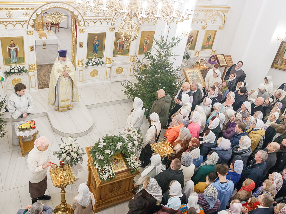 Фото: Юрий Котов