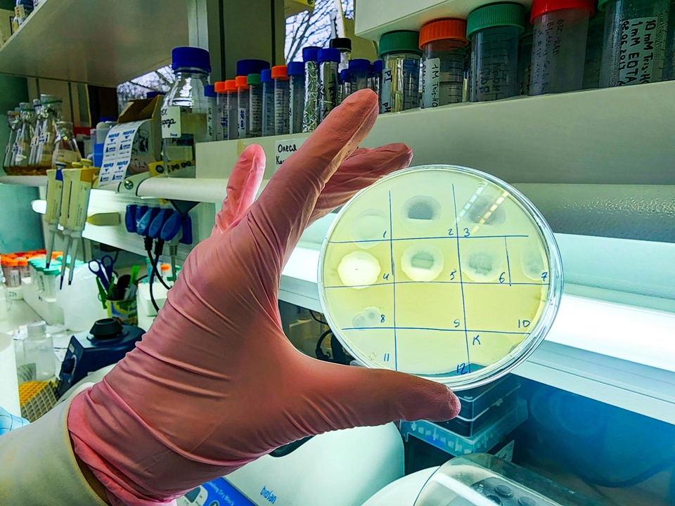 Фото: REGIONS/Мария Панина