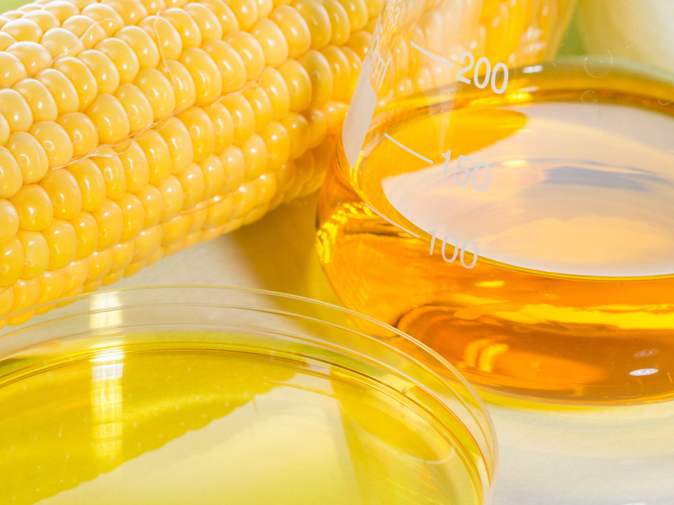 Фото: istockphoto.com/PRImageFactory 