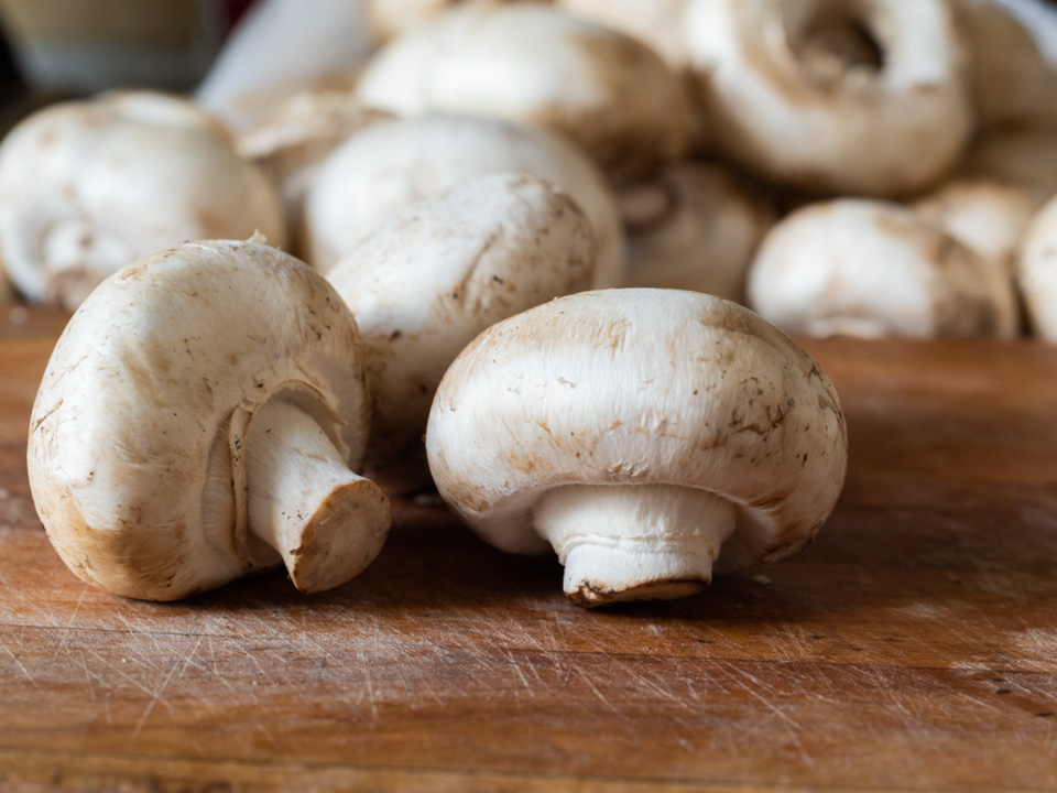 Фото: istockphoto.com/Elena Kudenko 