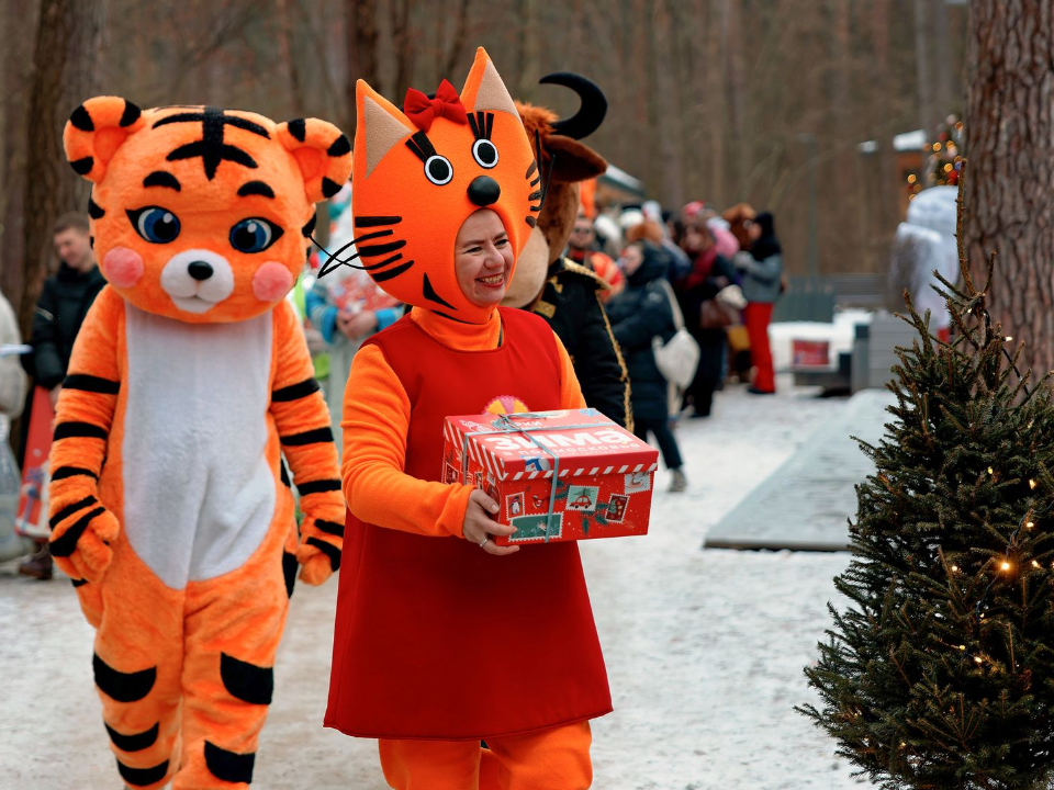 Фото: медиасток.рф