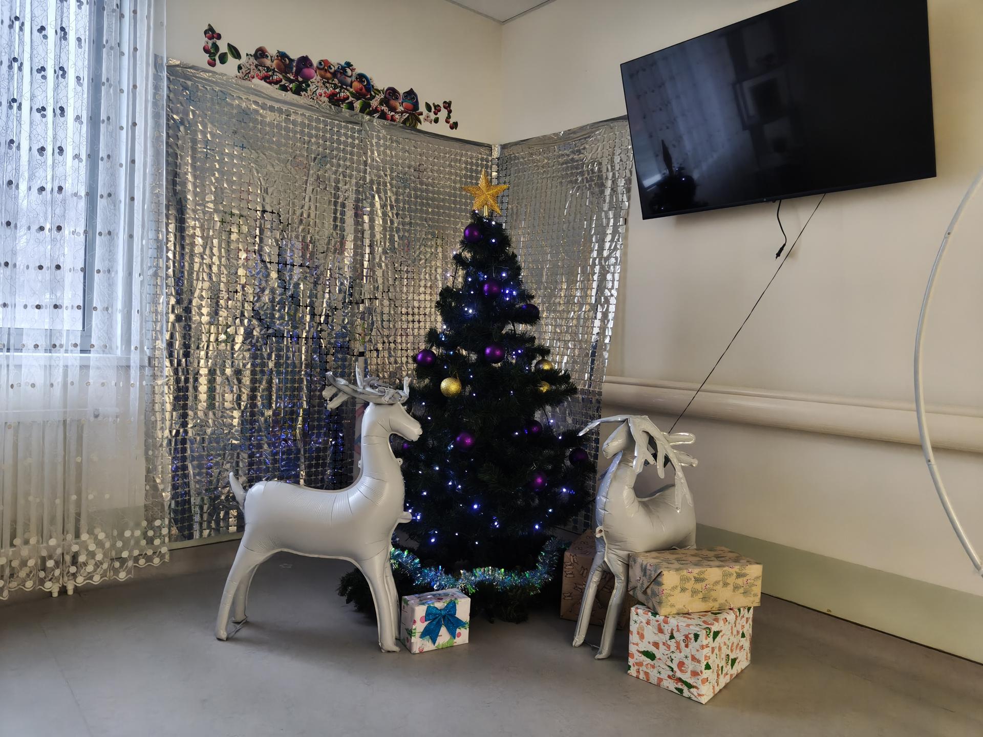 Фото: Сергей Орлов  