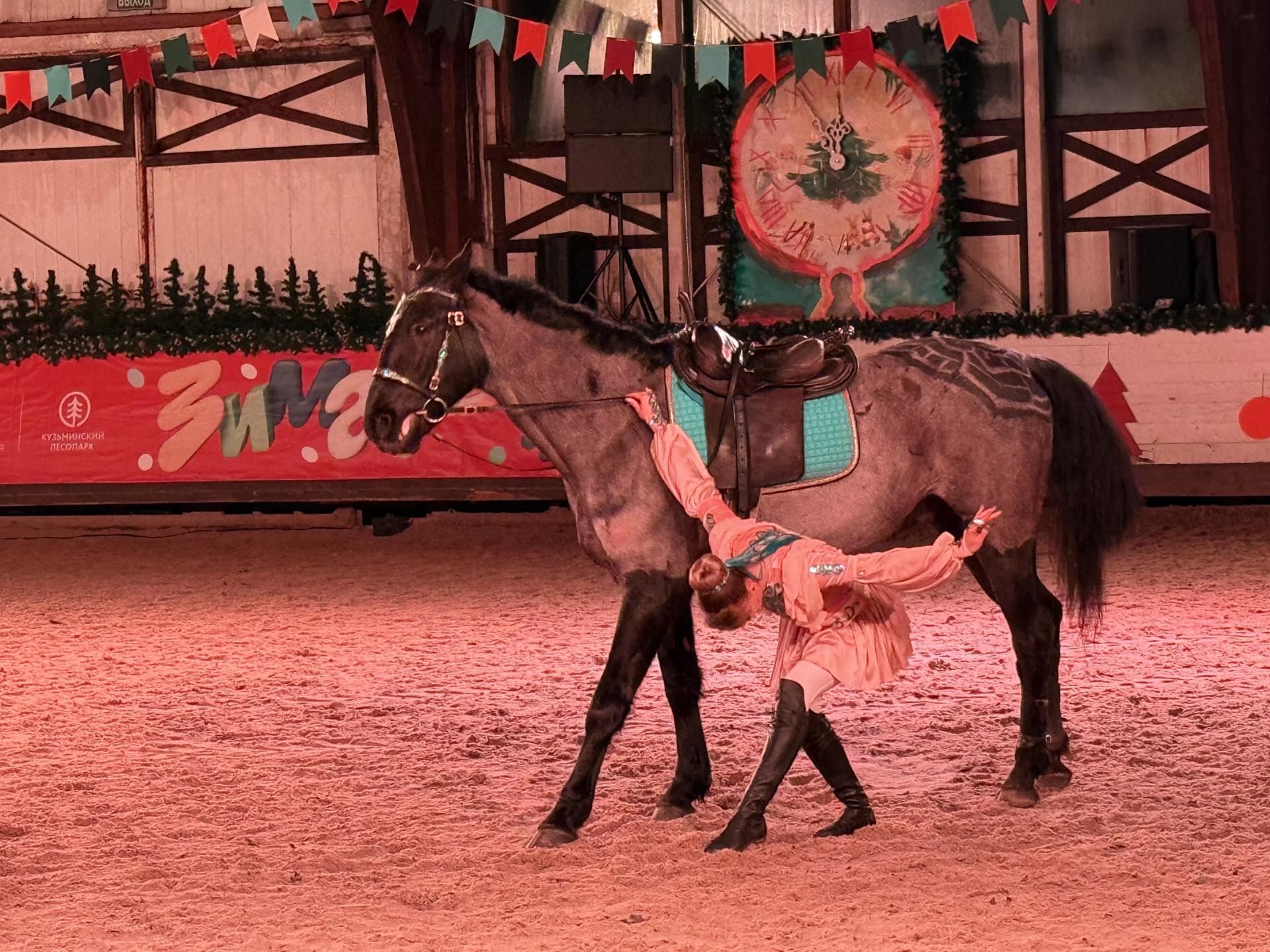 Фото: МедиаБанк Подмосковья/Анна Дука
