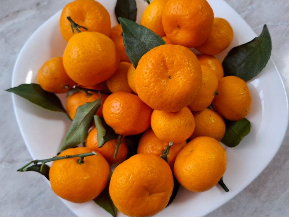 Фото: REGIONS/Юлия Габбасова