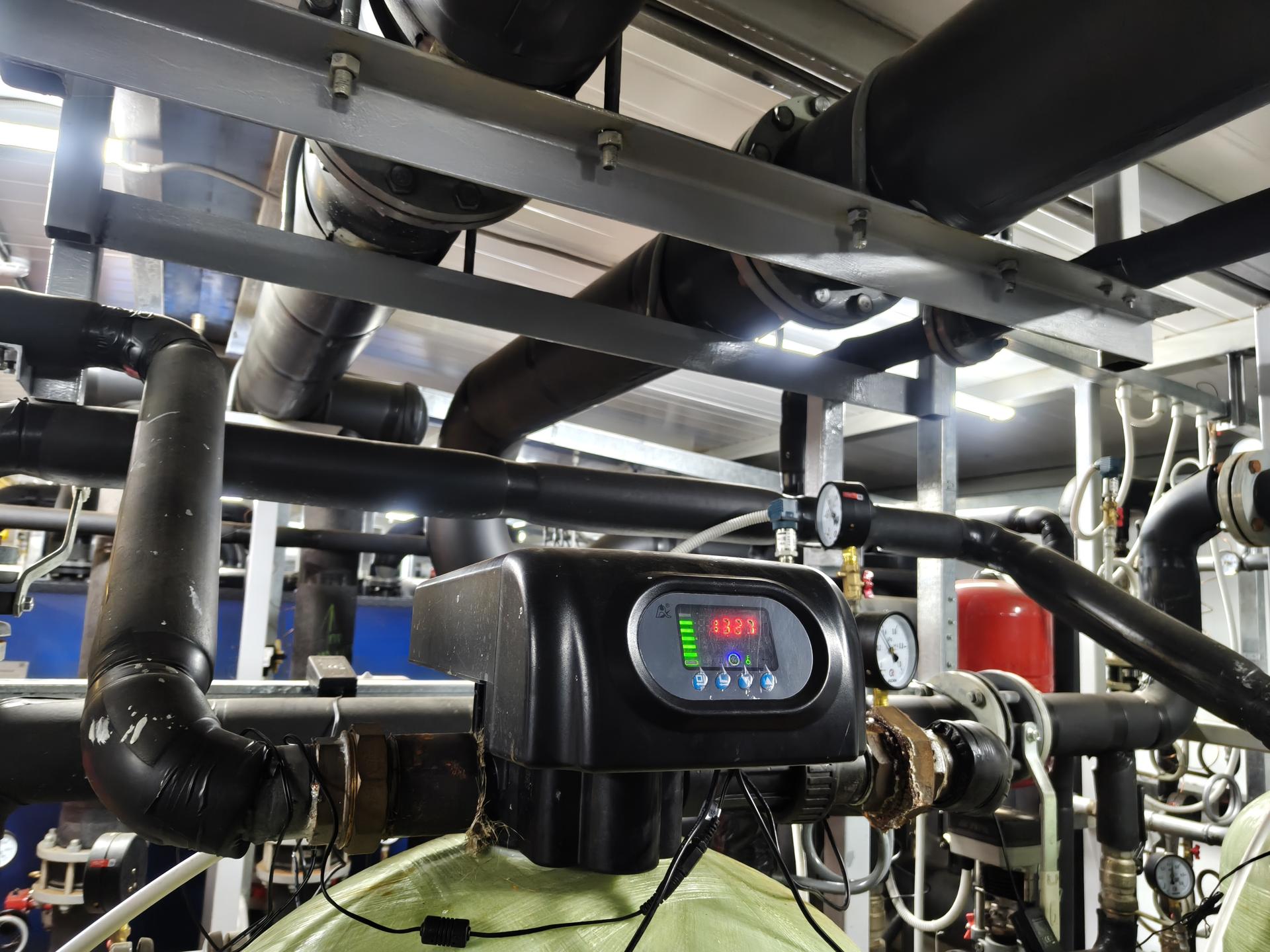 Фото: Сергей Орлов 