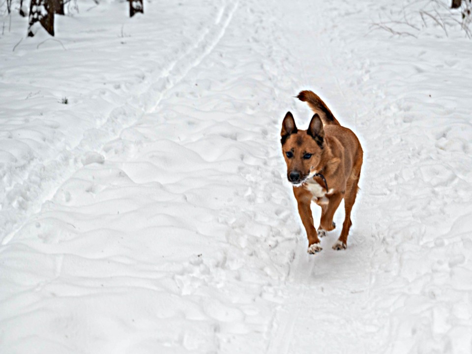 Фото: Ирина Зубарева