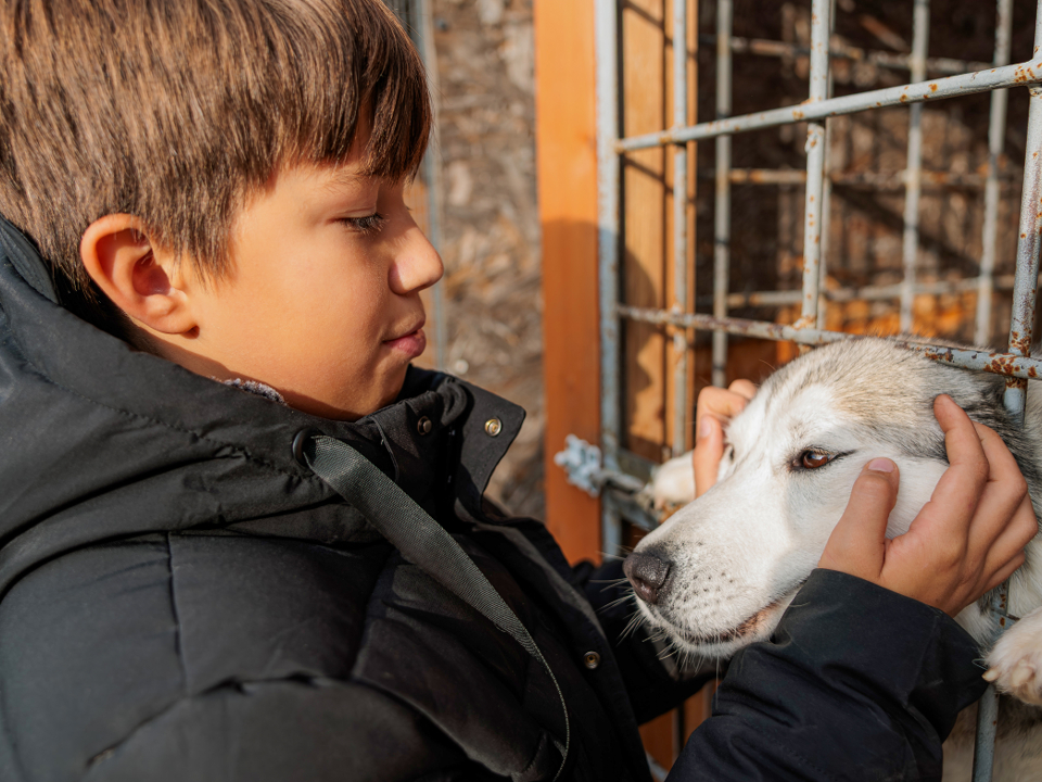 Фото: медиасток.рф