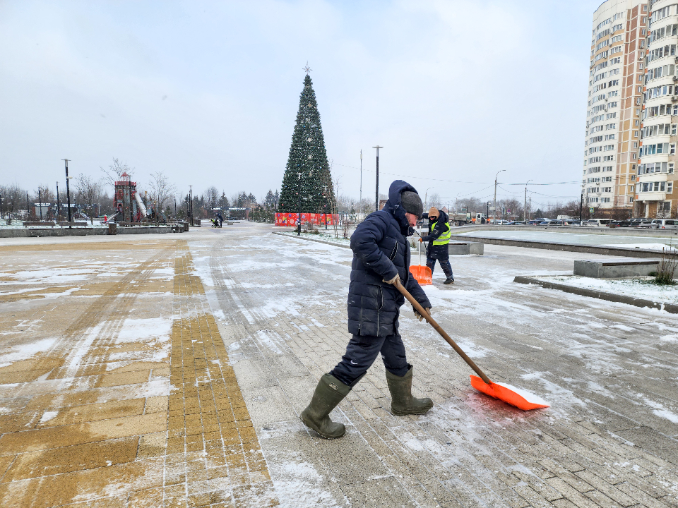 Фото: МедиаБанк Подмосковья/Мария Андрюхина