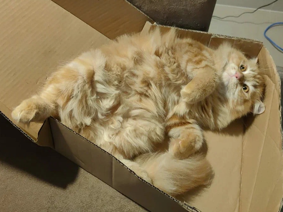 Фото: REGIONS/Наталия Надточая