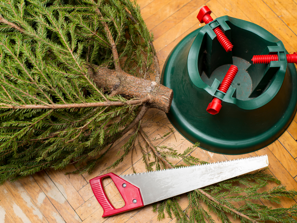 Фото: istockphoto.com/koldunova