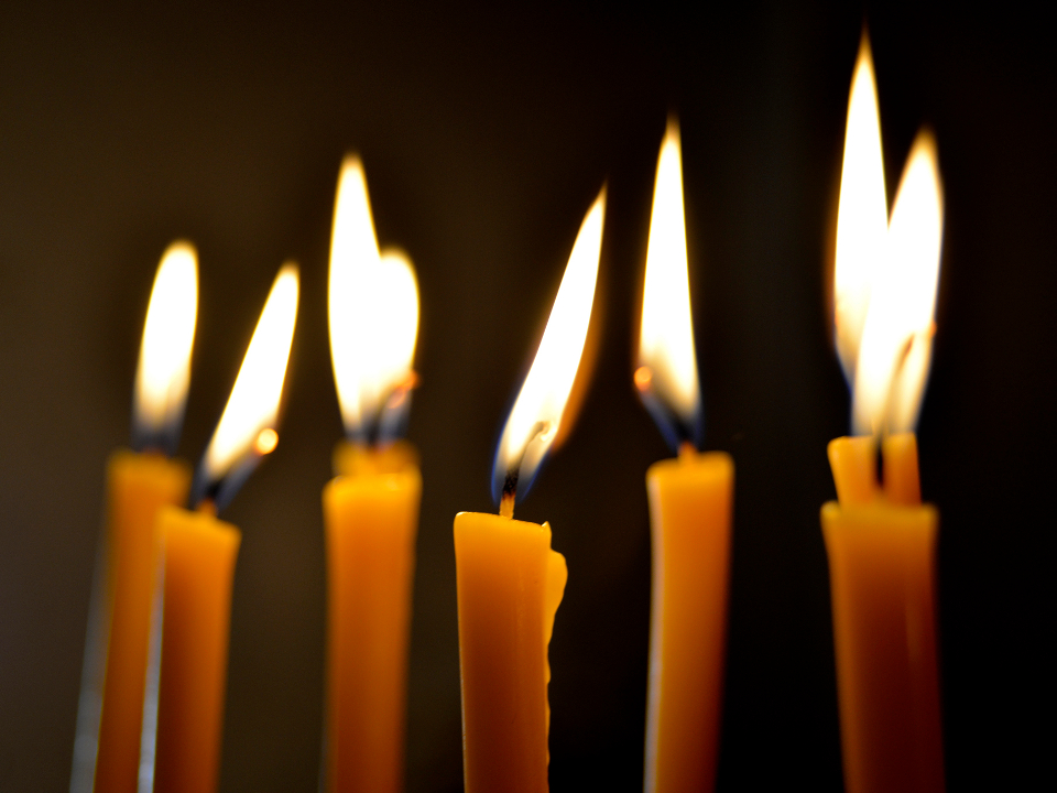 Фото: istockphoto.com/Magdevski