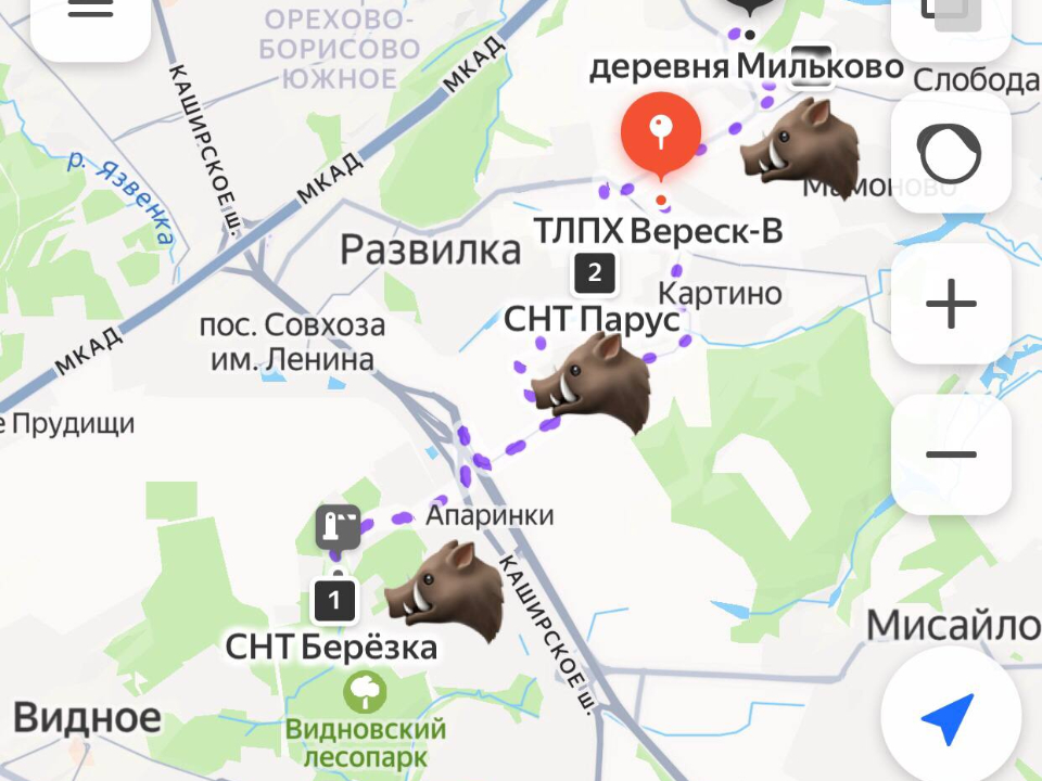 Жители делятся друг с другом перемещениями животного на карте. Фото: Яндекс Карты 