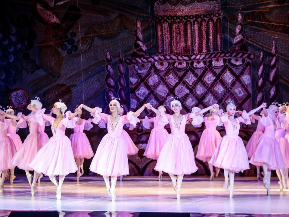 Фото: пресс-служба администрации г.о. Красногорск