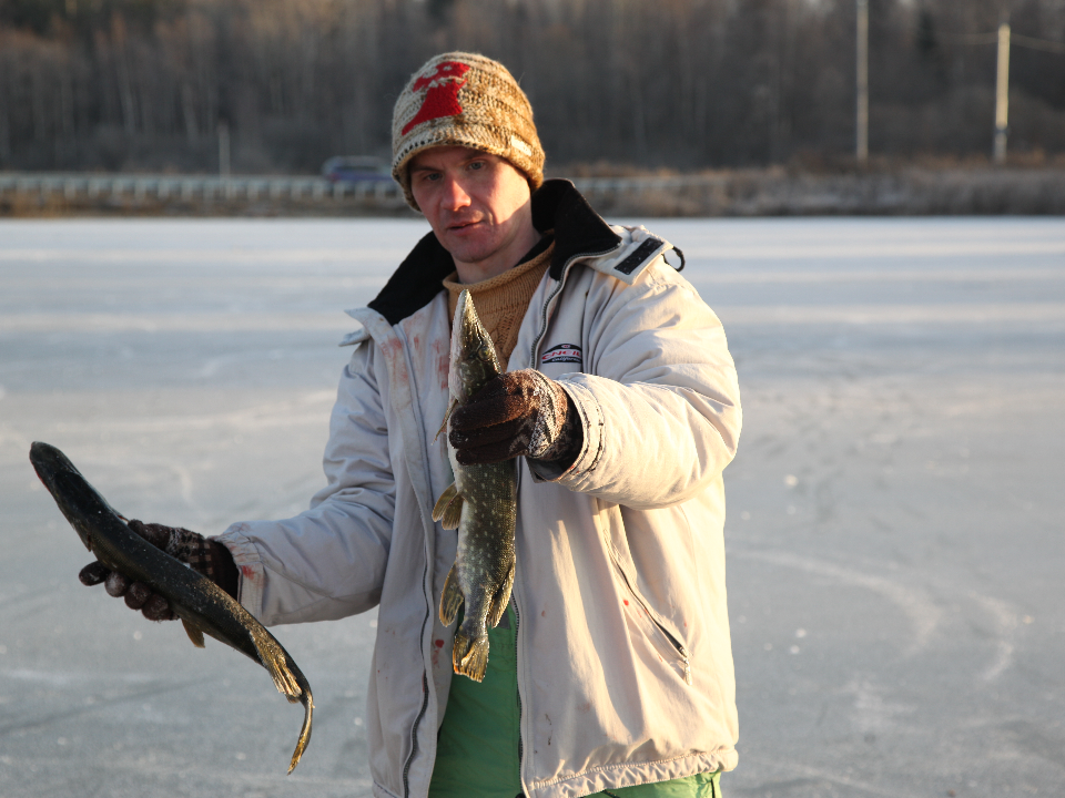 Фото: медиасток.рф