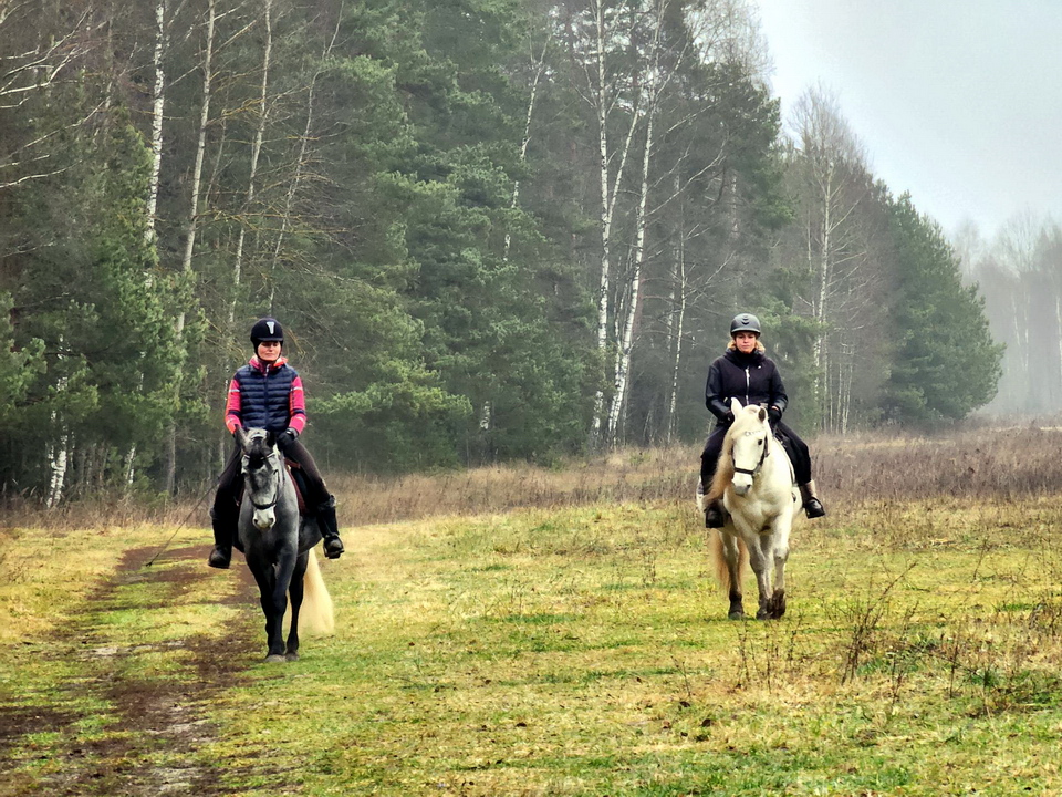 Фото: REGIONS/Ольга Аввакумова