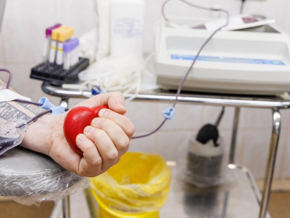 Фото: МедиаБанк Подмосковья/Наталья Лымарь