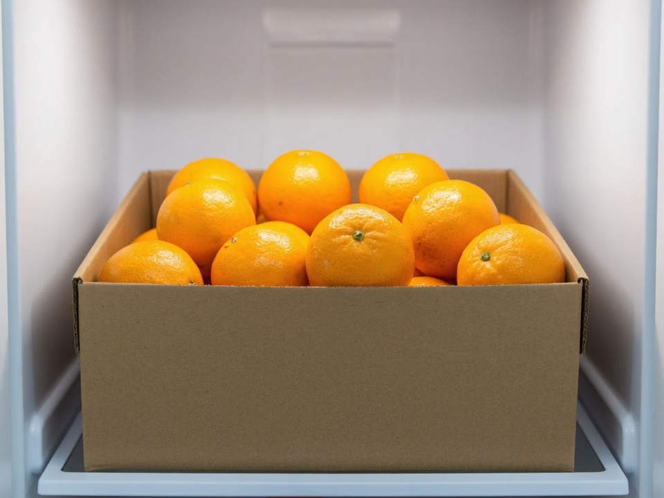 Фото: REGIONS/Сгенерировано нейросетью 