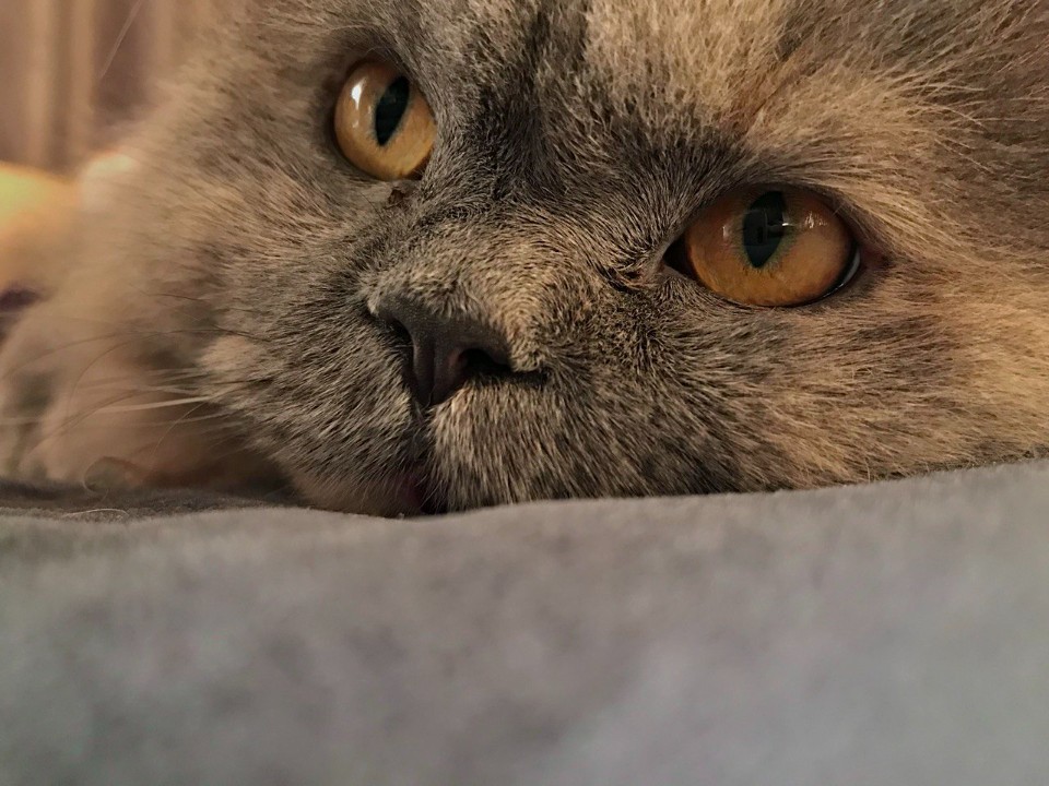 Фото: Максим Зубарев