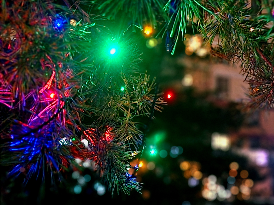 Фото: Мария Овчинникова