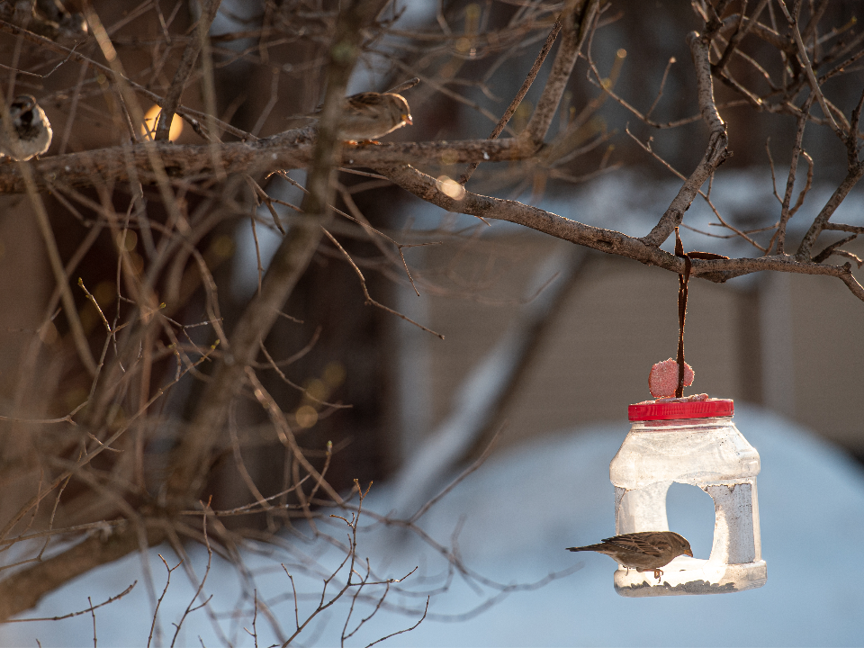 Фото: медиасток.рф