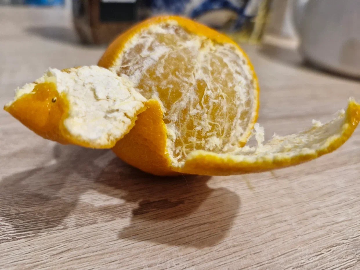 Фото: REGIONS/Наталия Надточая