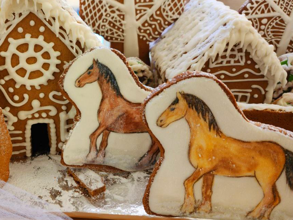 Фото: МедиаБанк Подмосковья/Евгений Рой