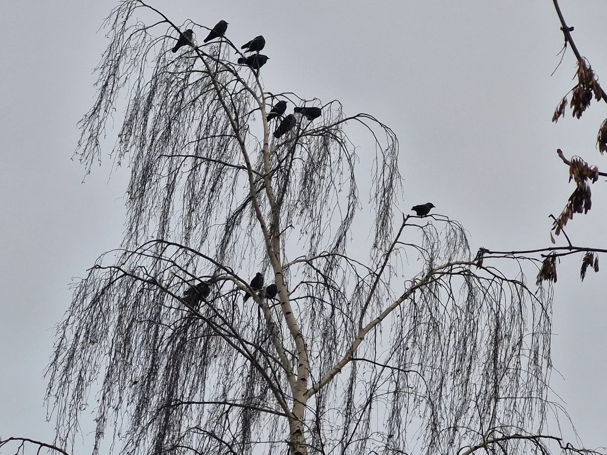 Фото: REGIONS/Наталия Надточая