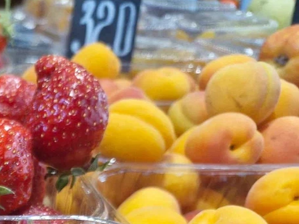 Фото: REGIONS/Наталия Надточая