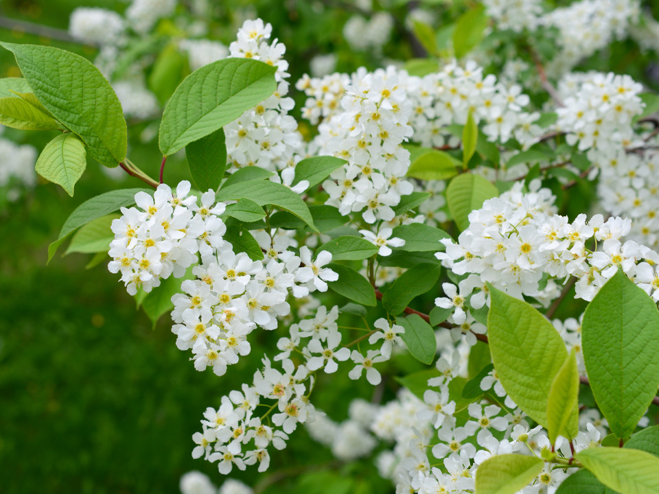 Фото: istockphoto.com/Irina Khabarova 