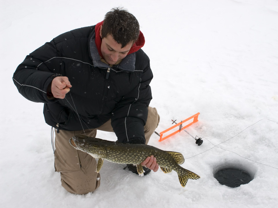 Фото: istockphoto.com/Michael Olson 