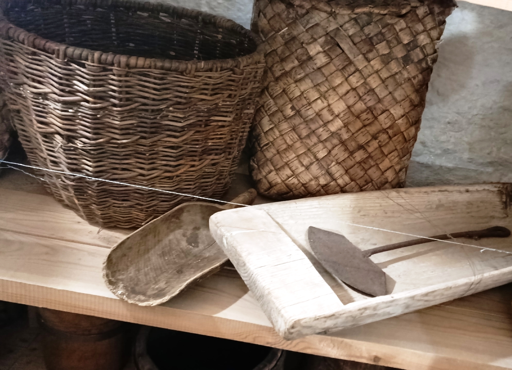 Фото: Лариса Вековищева