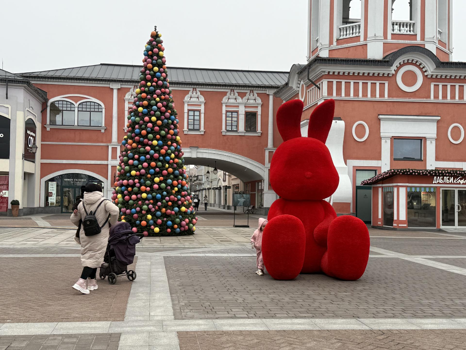 Фото: МедиаБанк Подмосковья/Анна Дука