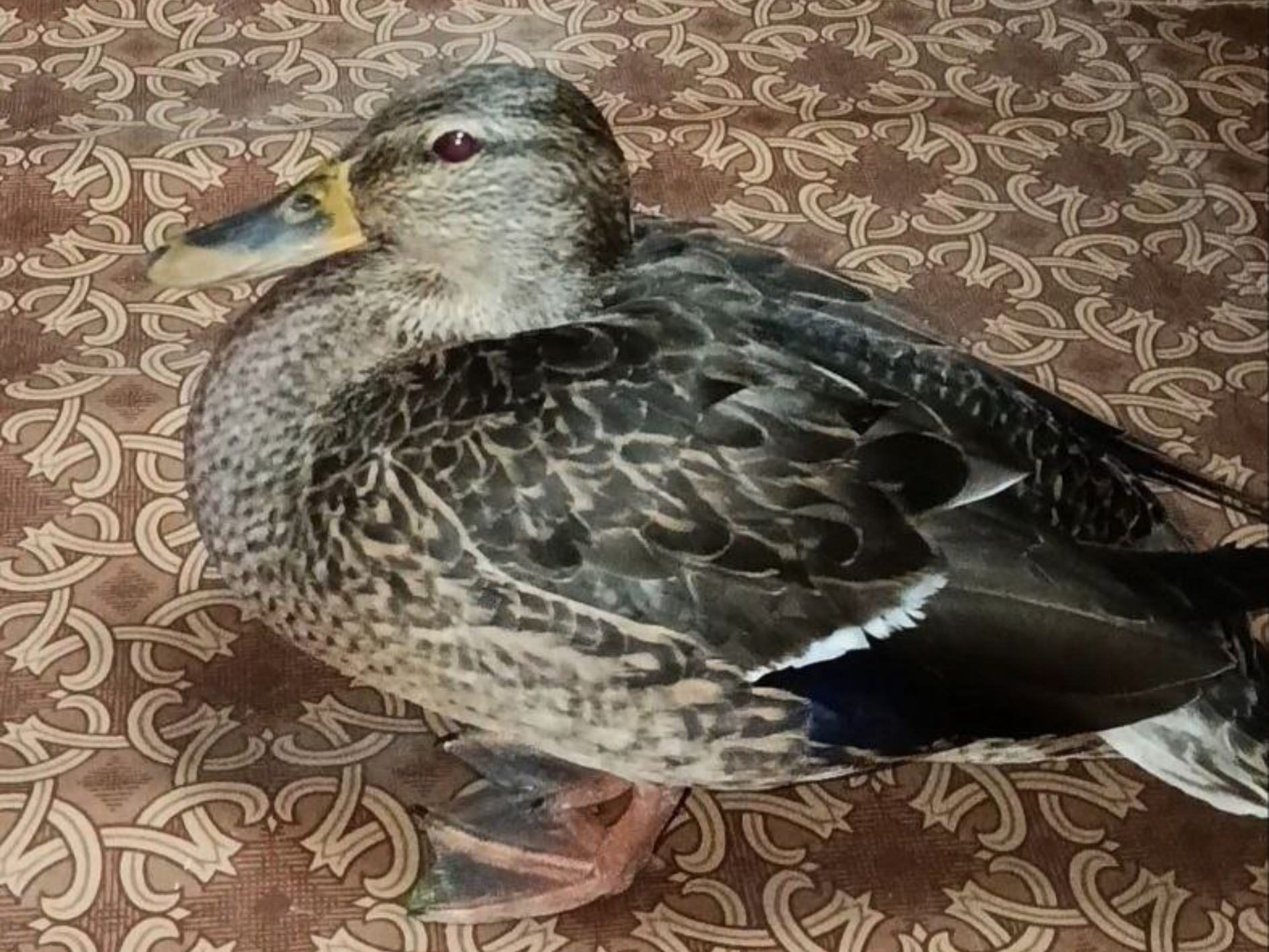 Фото: Эмма Чугунова