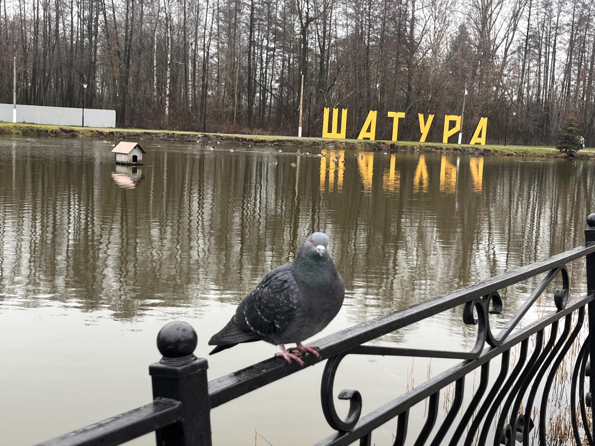 Фото: МедиаБанк Подмосковья/Ангелина Стельмух