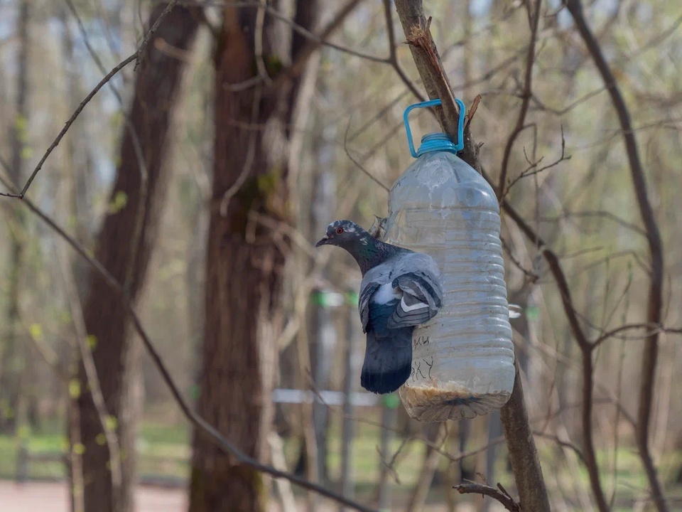 Фото: REGIONS/Наталия Надточая