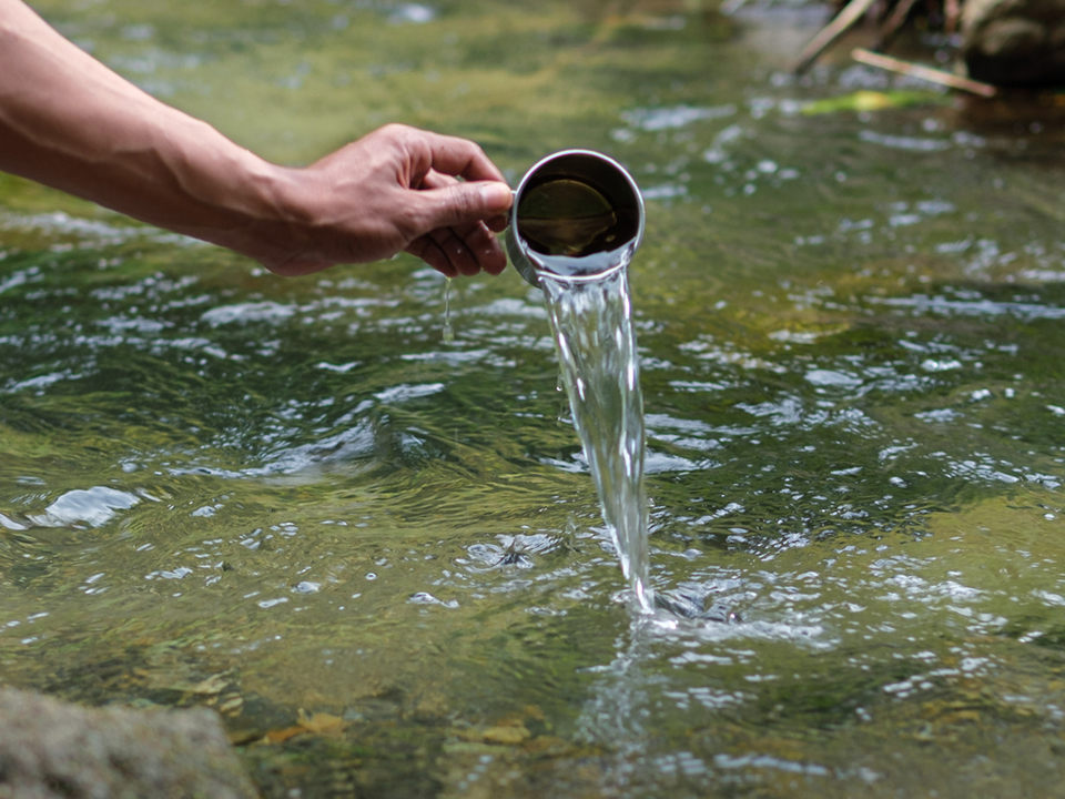 Фото: istockphoto.com/Rachmattt