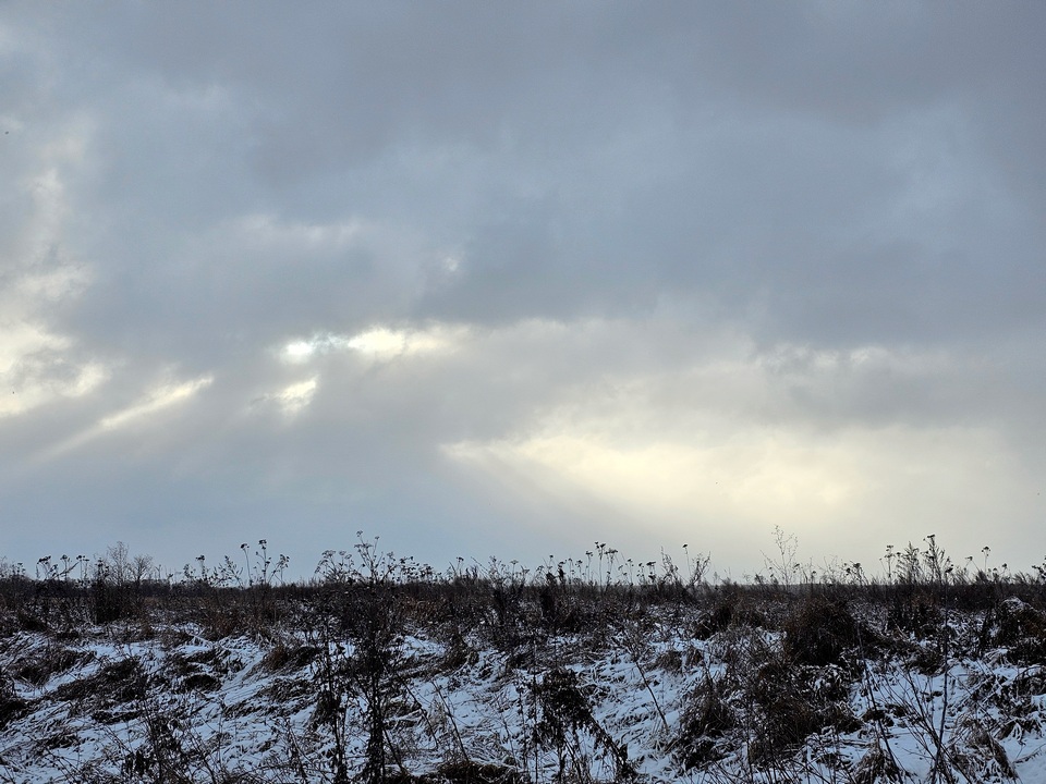 Фото: REGIONS/Александр Дрожжин