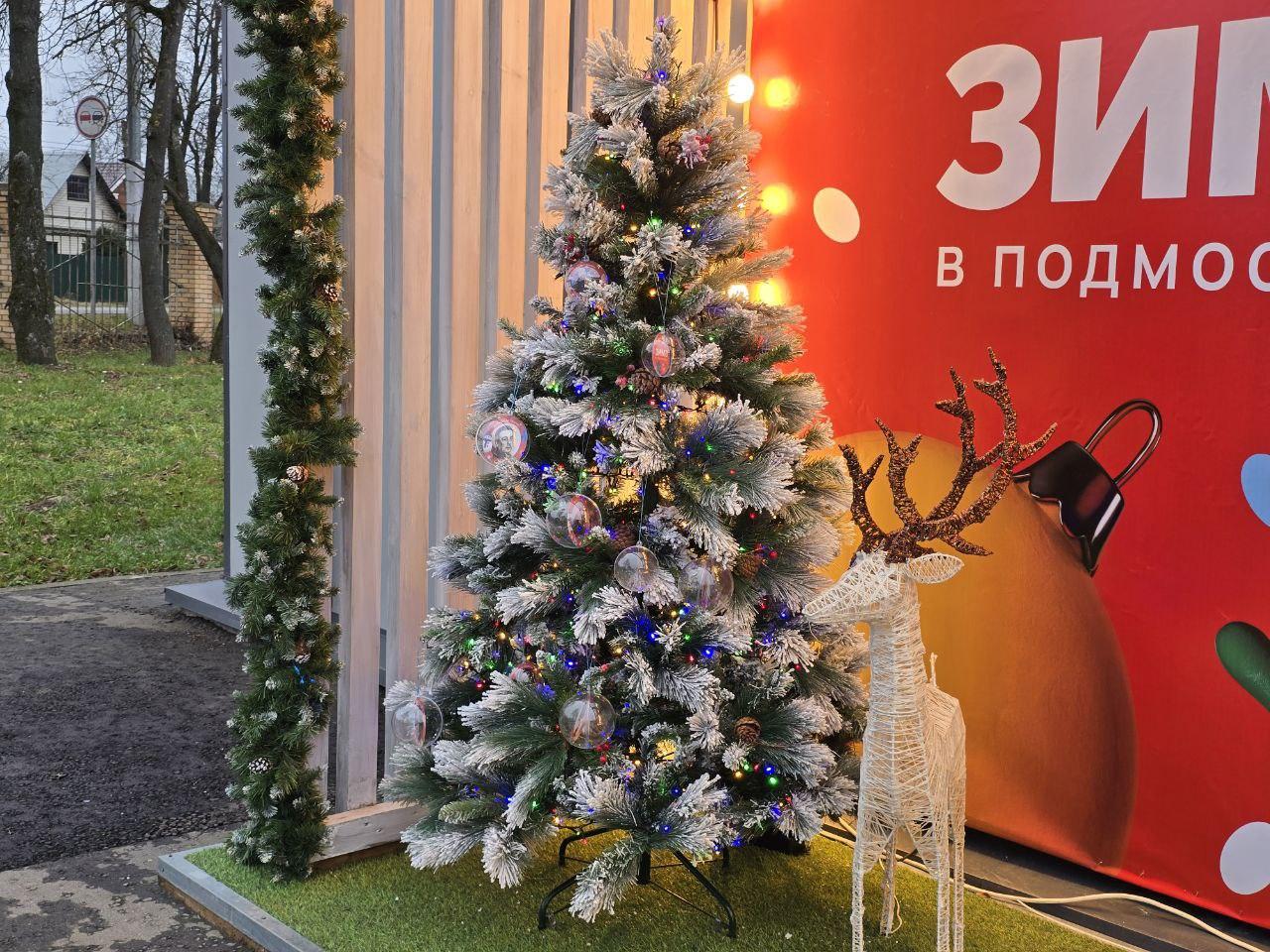 Фото: Яна Шаливская