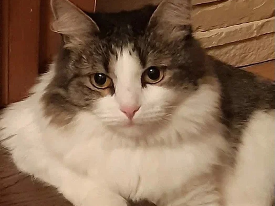 Фото: REGIONS/Наталия Надточая