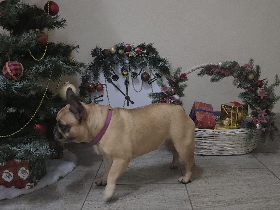 Фото: МедиаБанк Подмосковья/Наталья Лымарь