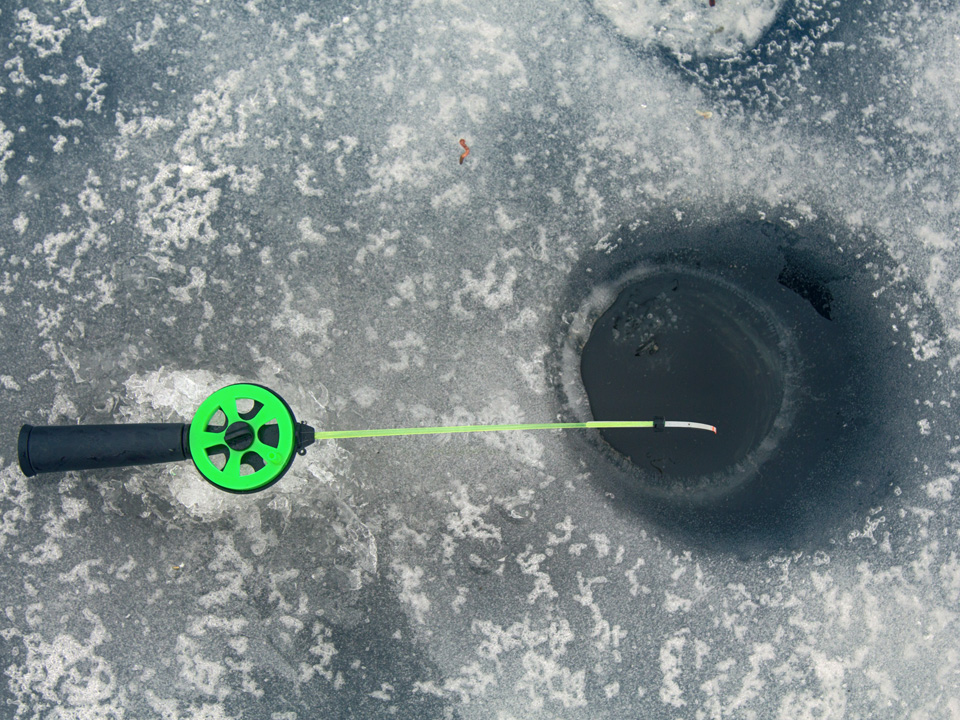 Фото: istockphoto.com/Maximillian-cabinet 