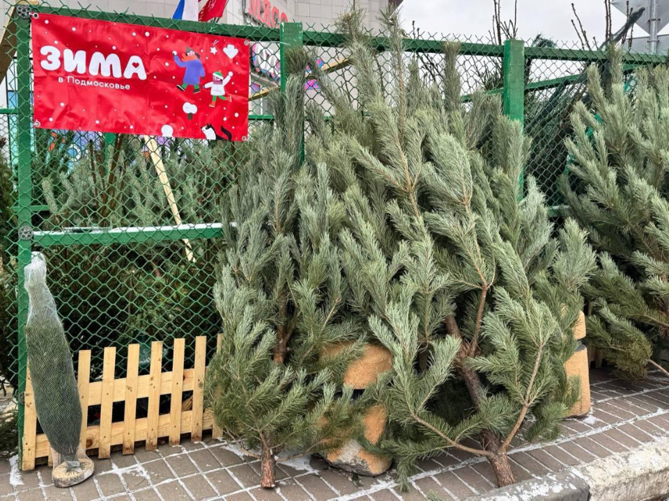 Фото: пресс-служба администрации г.о. Подольск