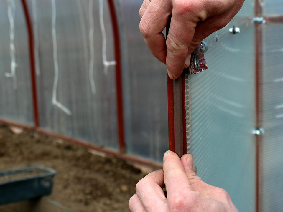 Фото: istockphoto.com/Snezhana Kudryavtseva