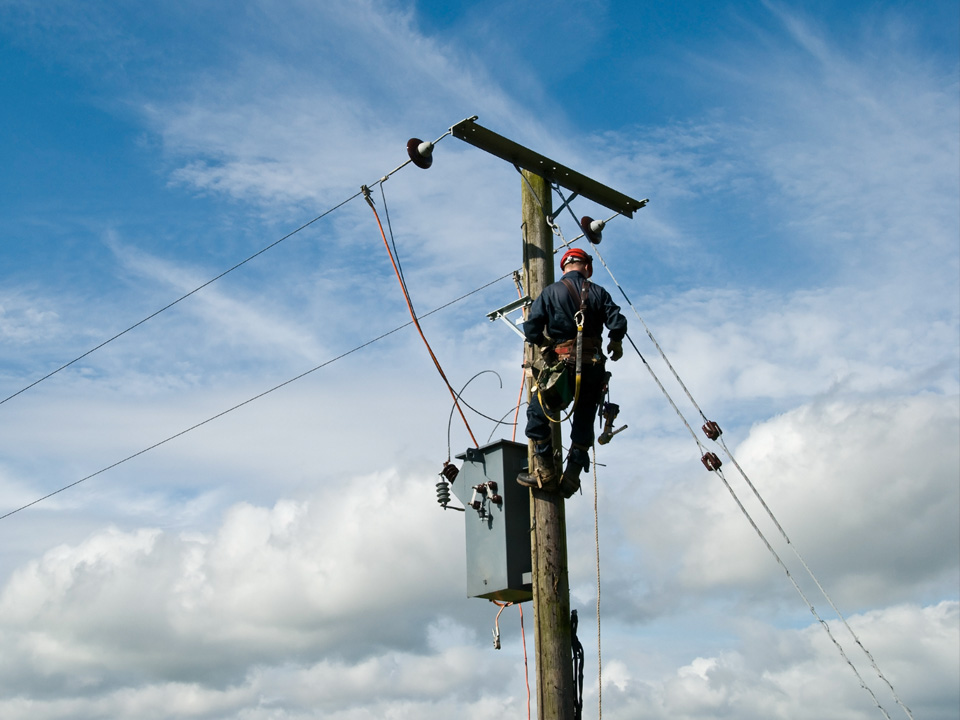 Фото: istockphoto.com/pkfawcett 