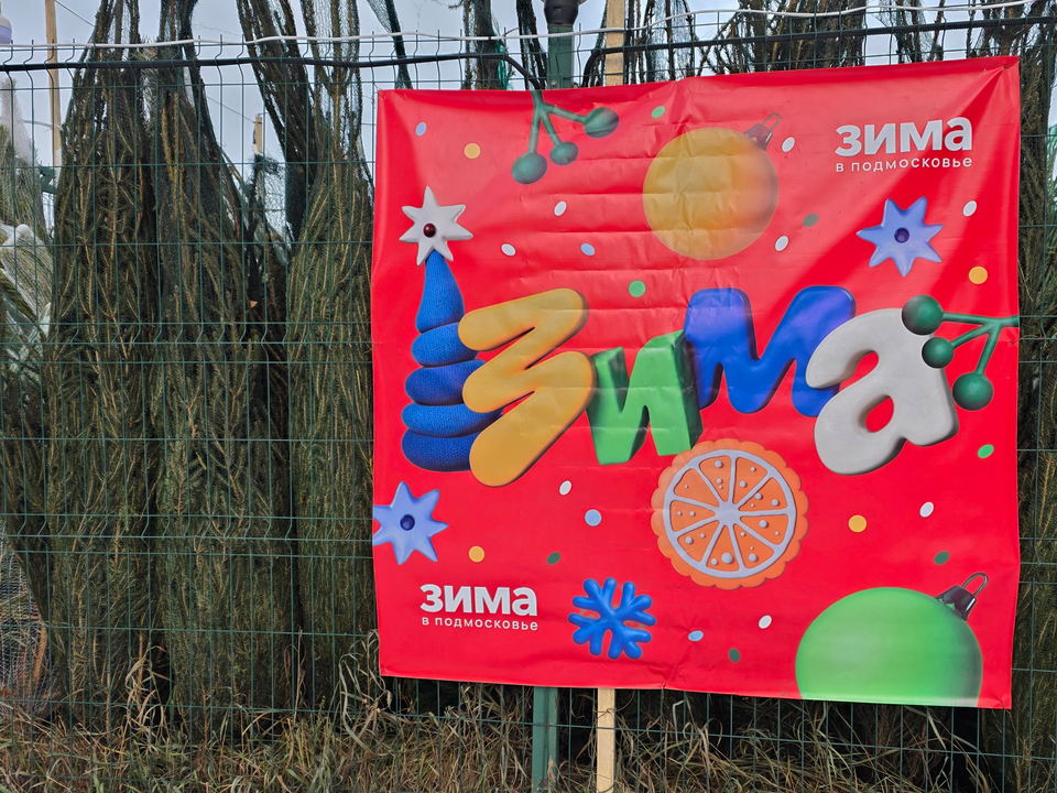 Фото: МедиаБанк Подмосковья/Мария Юдина